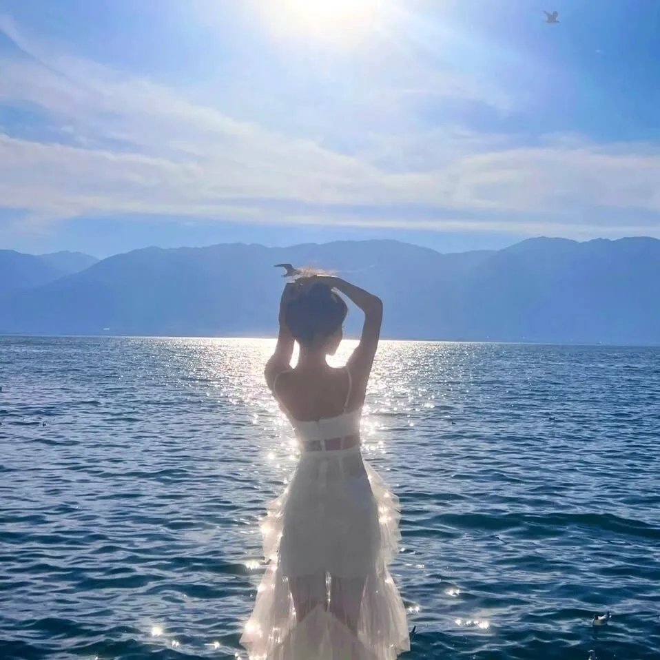 重生宠妾进阶录